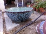 Plant Water Flowerpot Houseplant Gas