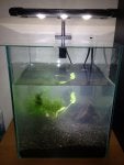 Water Light Pet supply Fish supply Glass