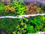20221107_183141.jpg