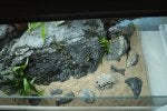 DSCF2451.JPG