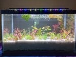 4-02-2024, Day 5.jpg