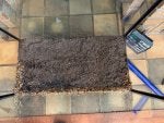 IMG_0137.jpeg