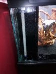 Fish Tank 4.jpg