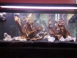 Tank 1.jpg