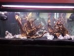 Tank 2.jpg