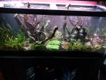 Planted 1.jpg