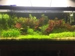 day 60 trimmed.jpg