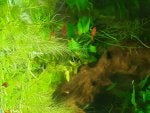 20190605_130629.jpg