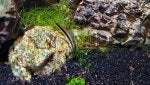 20201231_183051_1609457861565.jpg