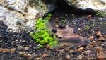 20201231_183205_1609457876917.jpg