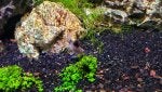 20201231_183048_1609457890652.jpg