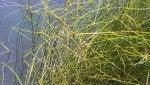 20201231_182706_1609605328100.jpg