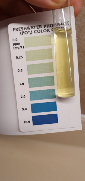 Aquarium phosphate deals test kit